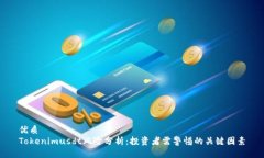 优质Tokenimusdt风险分析：投资者需警惕的关键因素